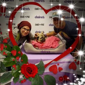 Meet your Posher, Dana